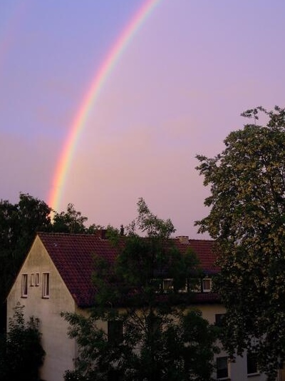 Regenbogen12
